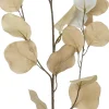 Intratuin kunsttak Eucalyptus wit / bruin H 90 cm
