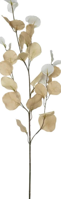 Intratuin kunsttak Eucalyptus wit / bruin H 90 cm