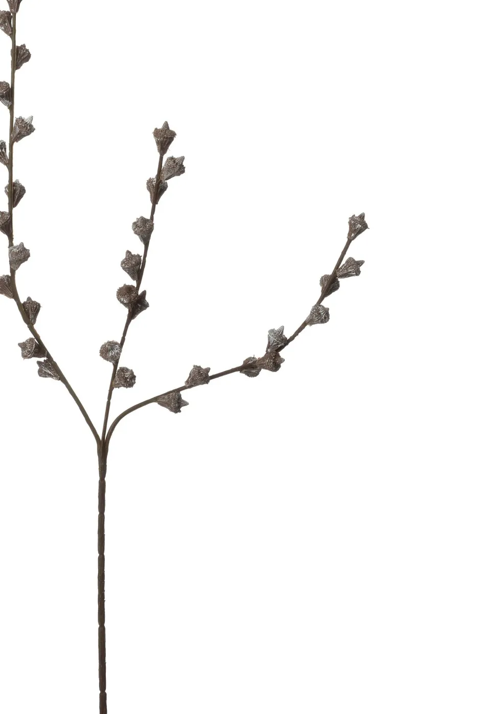 Intratuin kunsttak Eucalyptus grijs H 60 cm