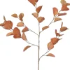 Intratuin kunsttak Eucalyptus oranje H 96 cm