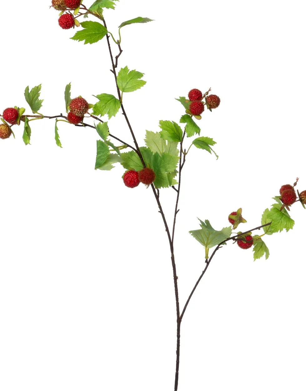 Intratuin kunsttak Framboos rood H 98 cm
