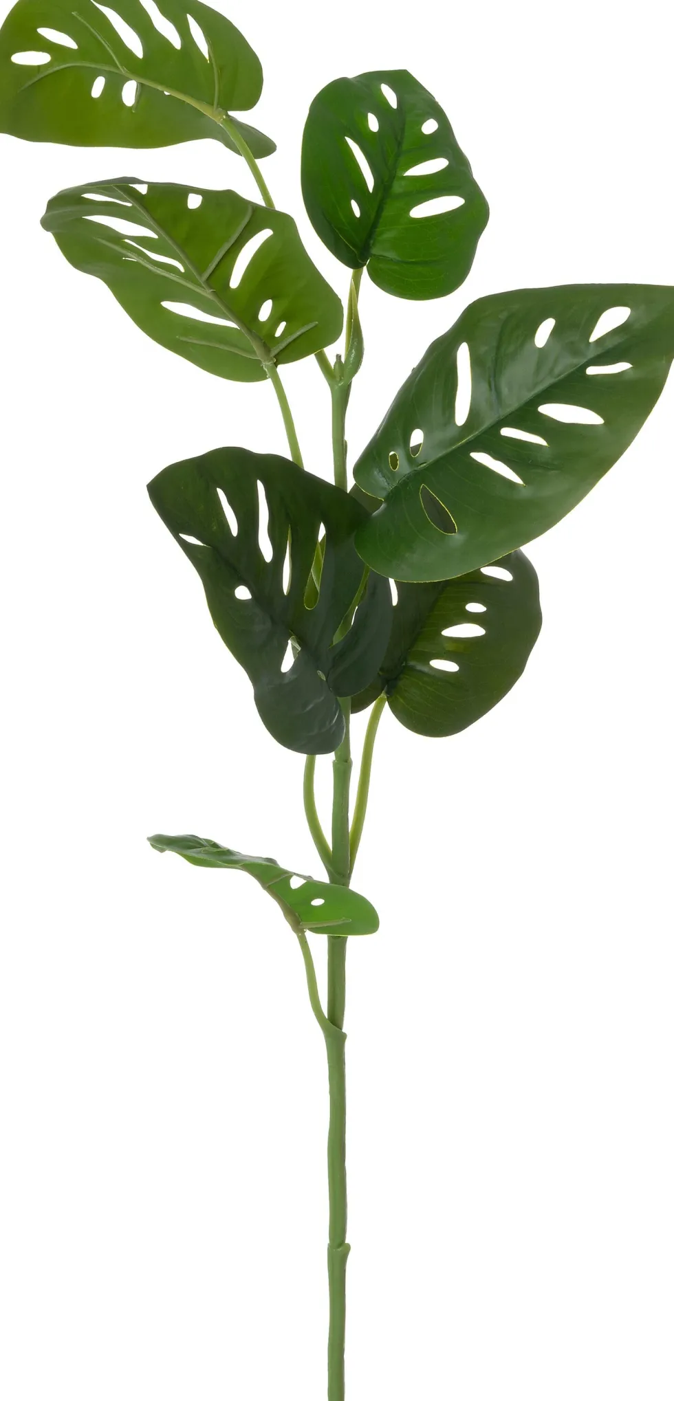 Intratuin kunsttak Gatenplant H 80 cm
