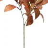 Intratuin kunsttak Glansmispel bruin / groen H 71 cm