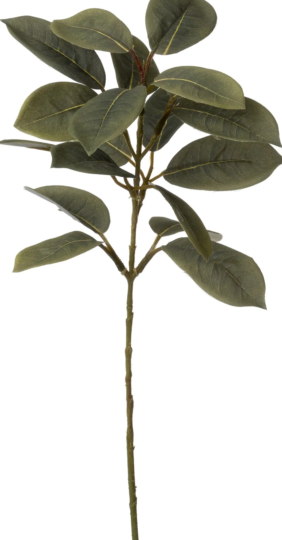 Intratuin kunsttak Laurierkers H 40 cm