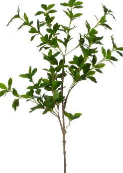 Intratuin kunsttak Liguster H 96 cm