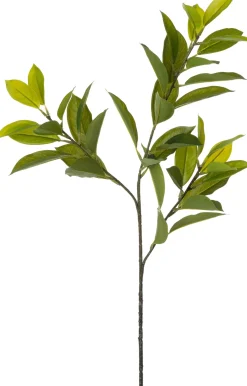 Intratuin kunsttak Liguster H 81 cm