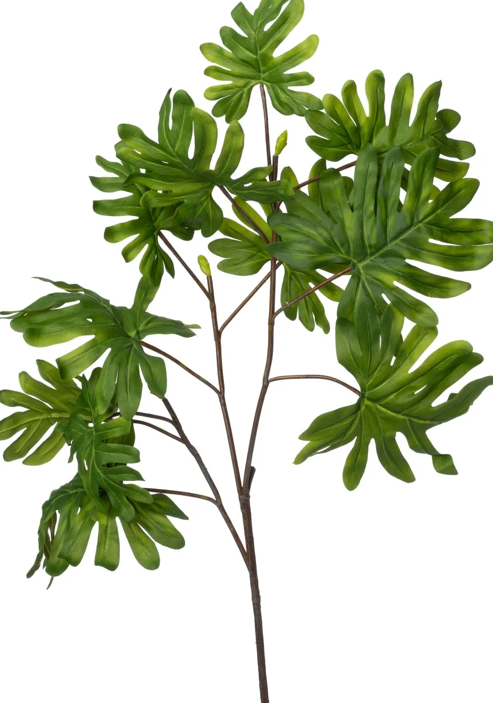 Intratuin kunsttak Monstera H 105 cm