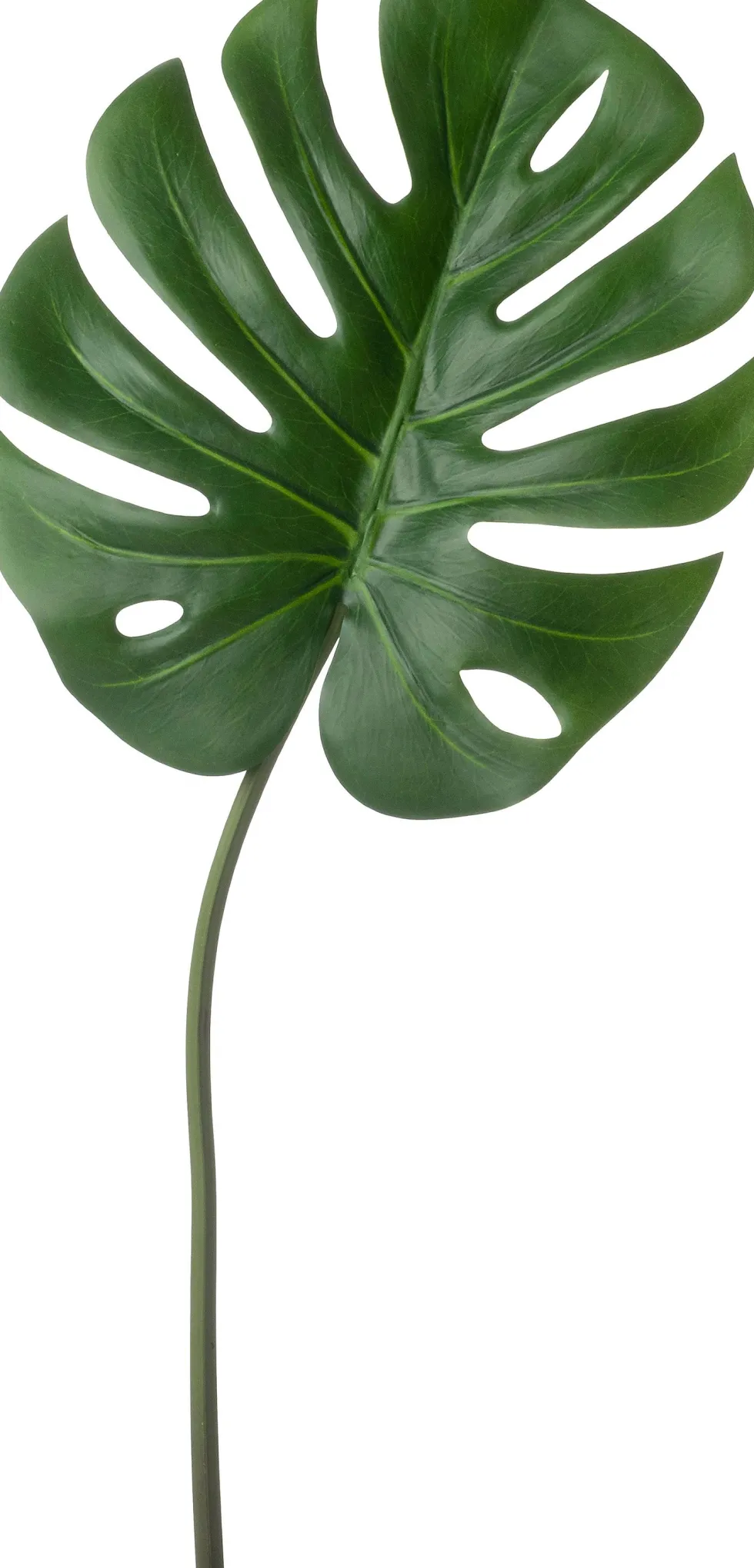 Intratuin kunsttak Monstera H 98 cm