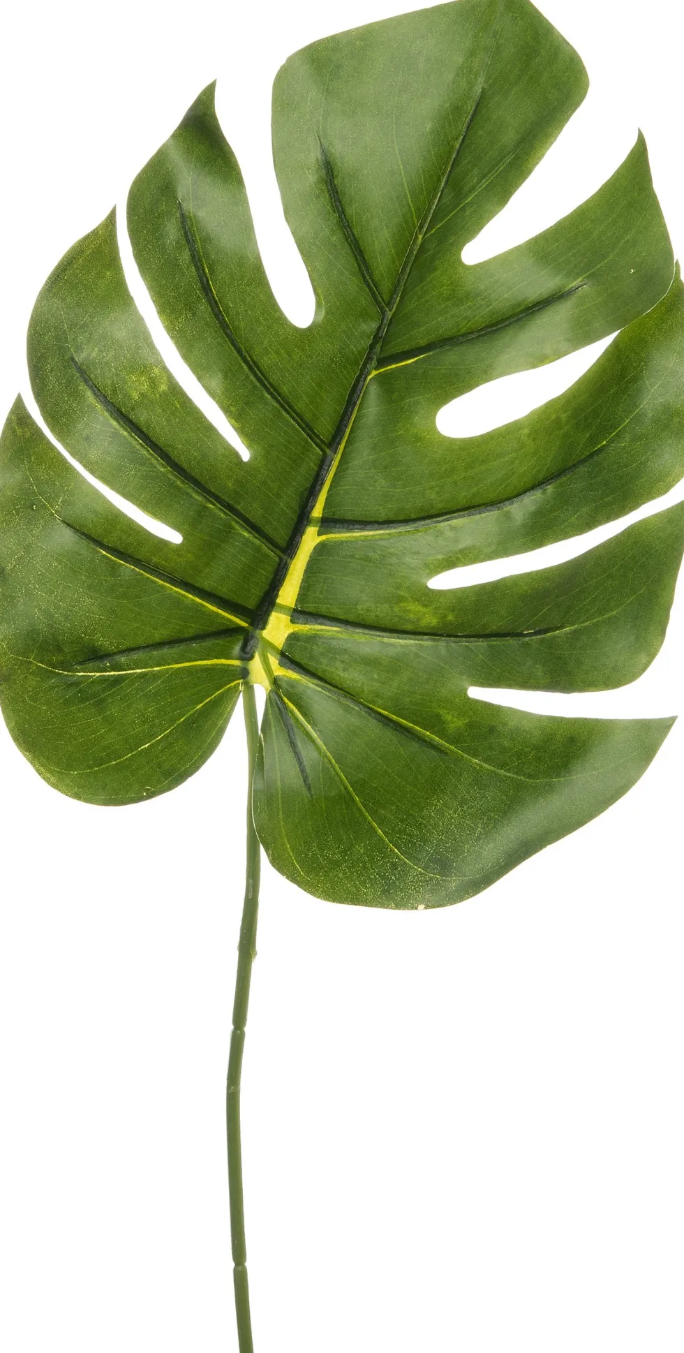 Intratuin kunsttak Monstera H 84 cm