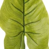 Intratuin kunsttak Olifantsoor H 85 cm