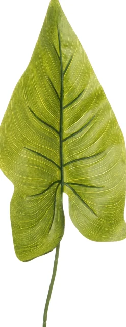 Intratuin kunsttak Olifantsoor H 85 cm