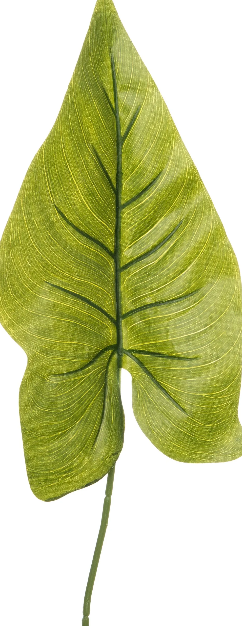 Intratuin kunsttak Olifantsoor H 85 cm