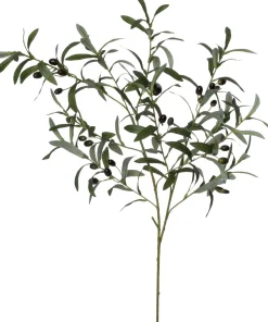 Intratuin kunsttak Olijf zwart H 95 cm