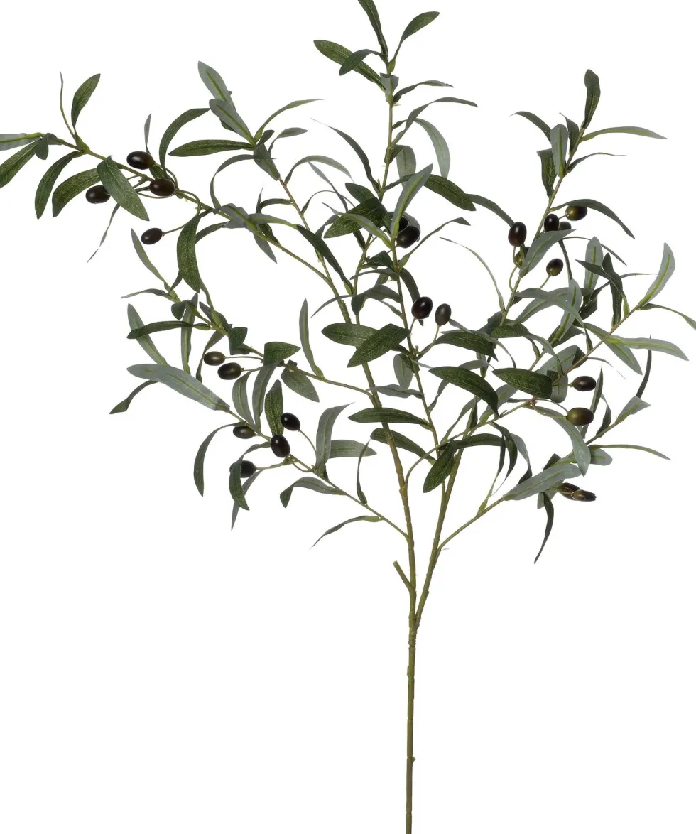 Intratuin kunsttak Olijf zwart H 95 cm