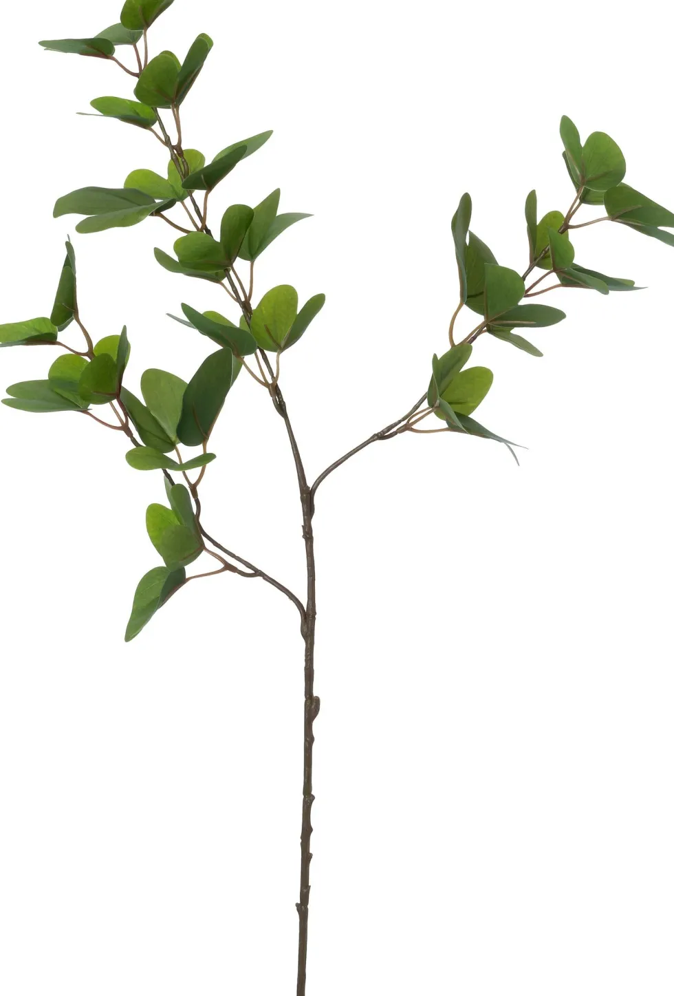 Intratuin kunsttak Orchideeënboom H 88 cm