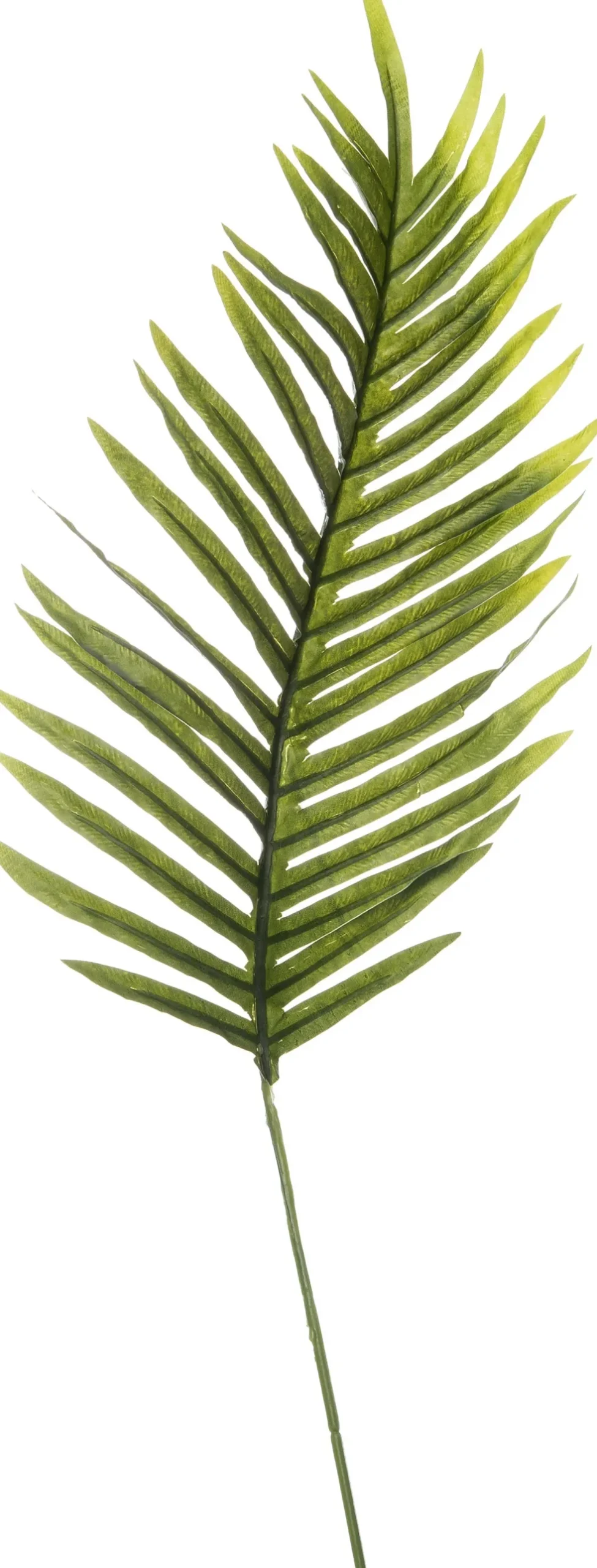 Intratuin kunsttak Palm H 106 cm