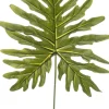 Intratuin kunsttak Philodendron H 88 cm