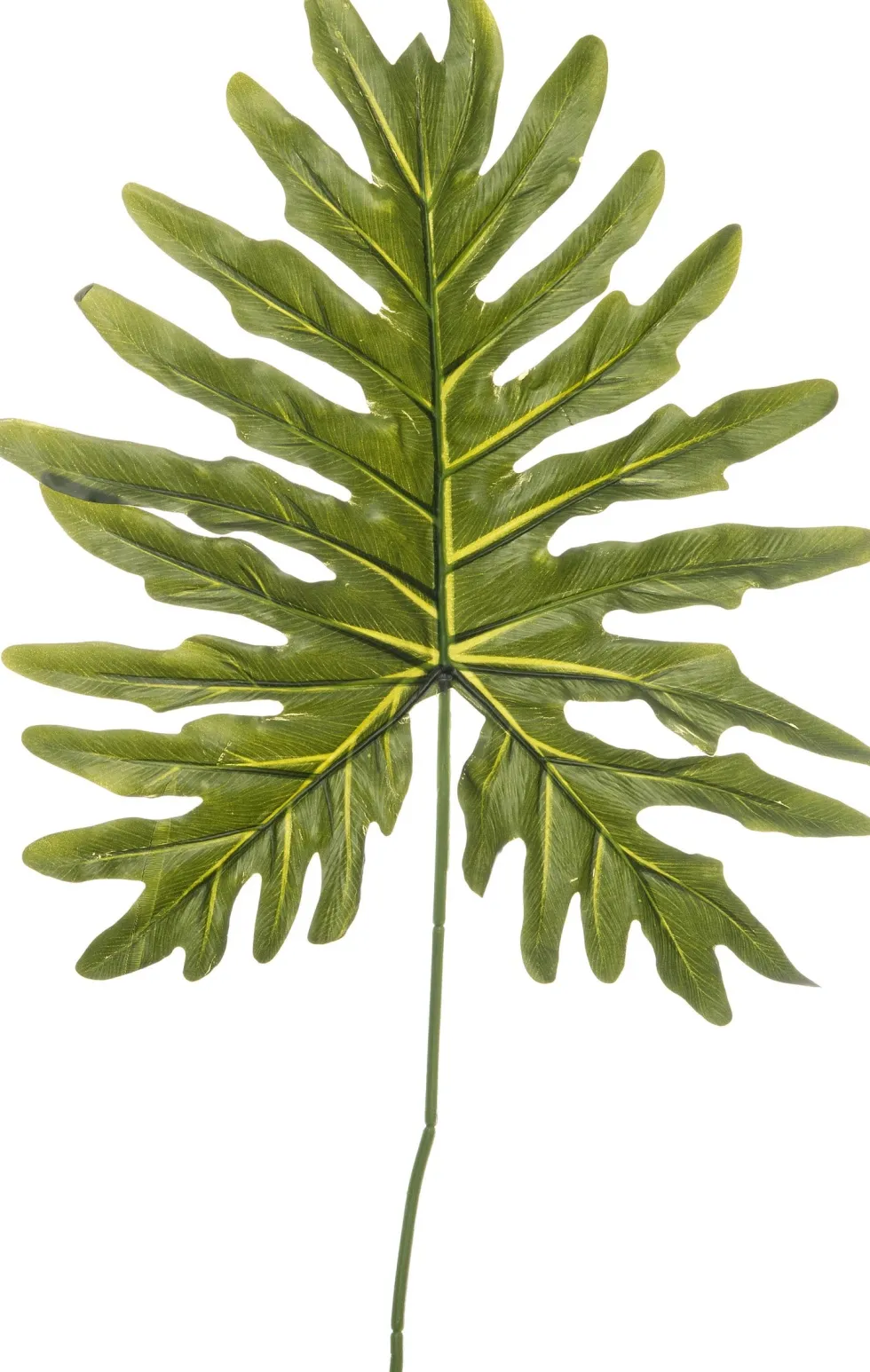 Intratuin kunsttak Philodendron H 88 cm