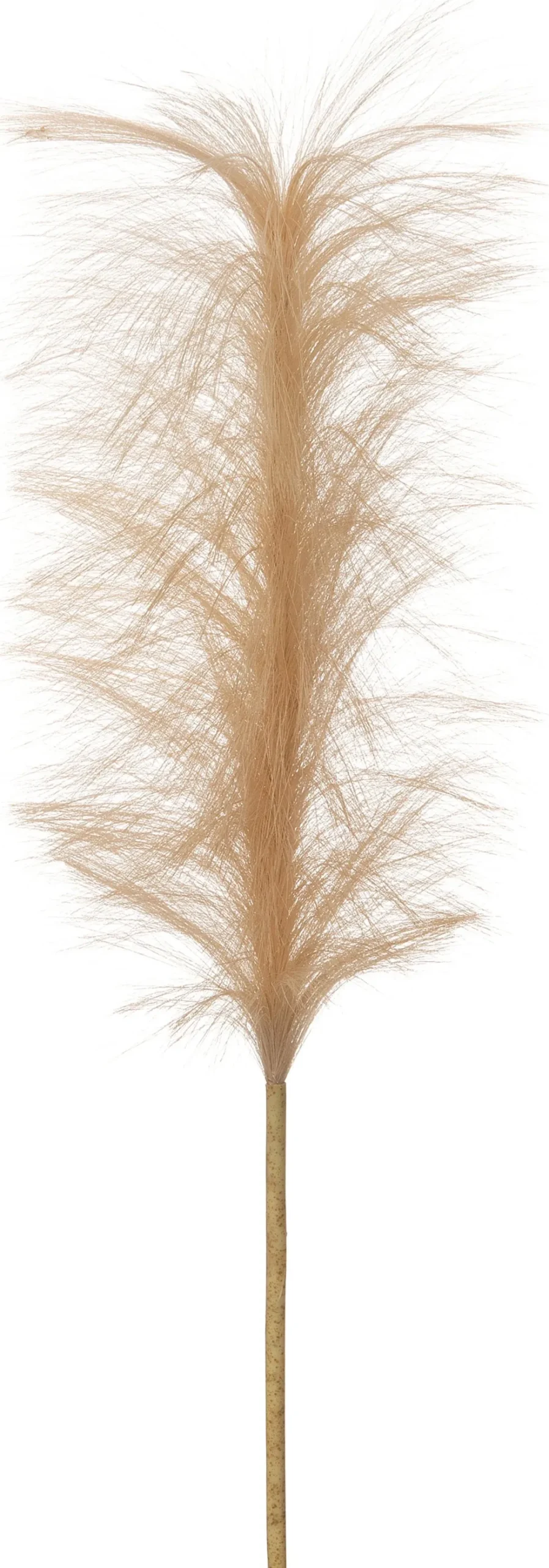 Intratuin kunsttak Pluim geel H 88 cm