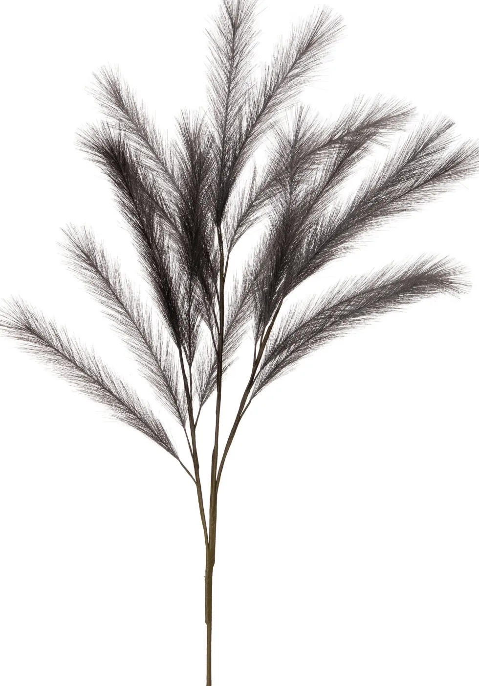 Intratuin kunsttak Pluim grijs H 107 cm