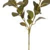 Intratuin kunsttak Pruikenboom H 85 cm