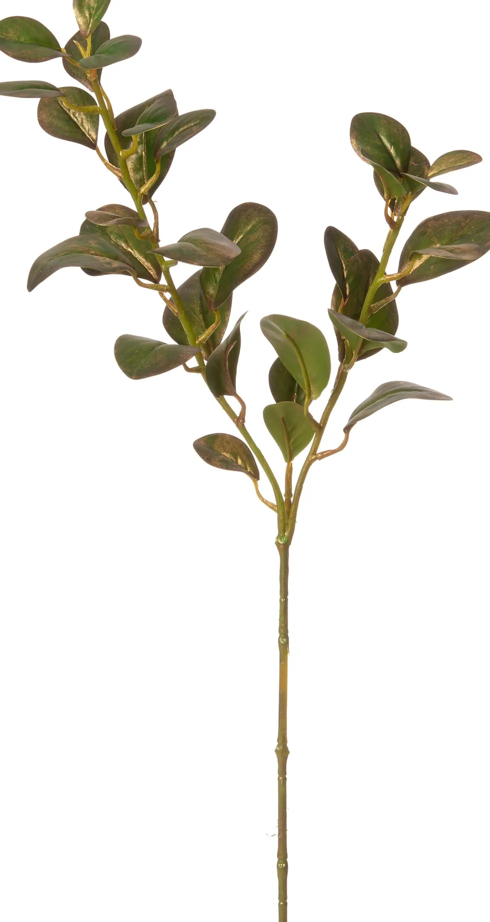 Intratuin kunsttak Pruikenboom H 85 cm