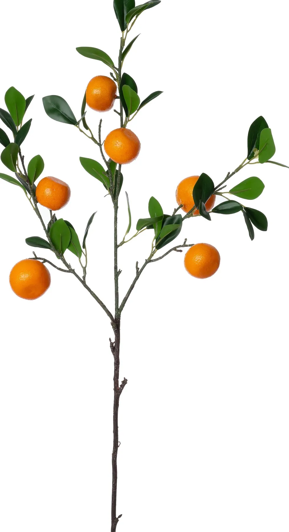 Intratuin kunsttak Sinaasappelplant geel H 90 cm