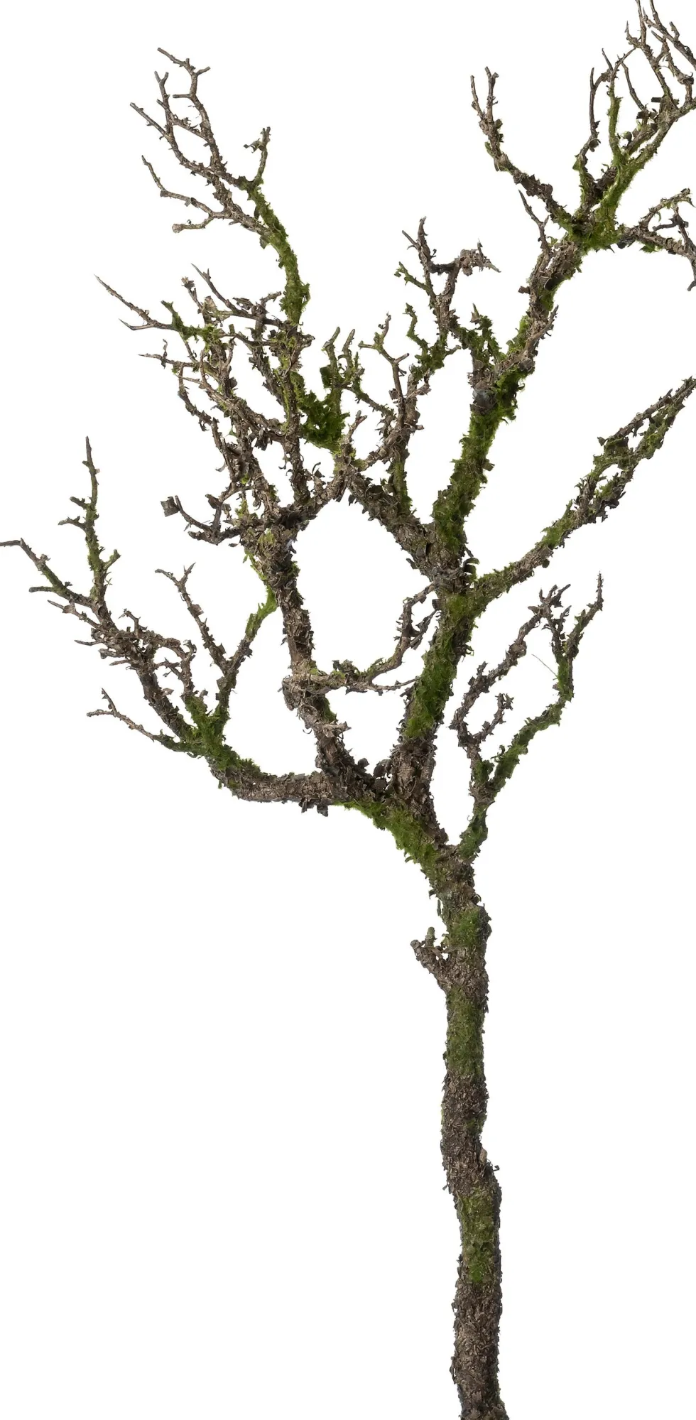 Intratuin kunsttak Tak met mos bruin H 91 cm