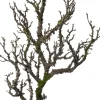 Intratuin kunsttak Tak met mos bruin H 81 cm