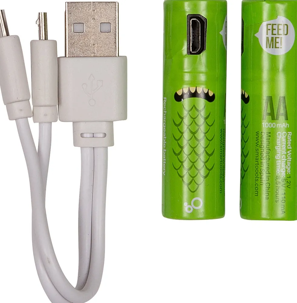 Intratuin oplaadbare batterij AA met USB kabel 2 stuks