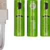 Intratuin oplaadbare batterij AA met USB kabel 4 stuks