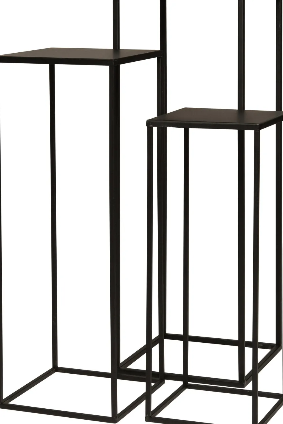 Intratuin plantentafel Teun zwart 19 x 19 x 50 cm