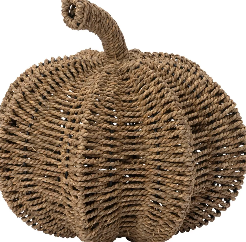 Intratuin pompoen naturel D 28 H 27