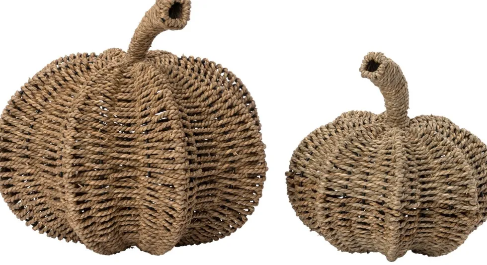 Intratuin pompoen naturel D 28 H 27