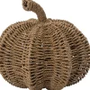 Intratuin pompoen naturel D 36 H 34