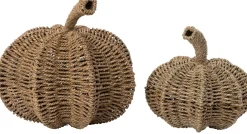 Intratuin pompoen naturel D 36 H 34