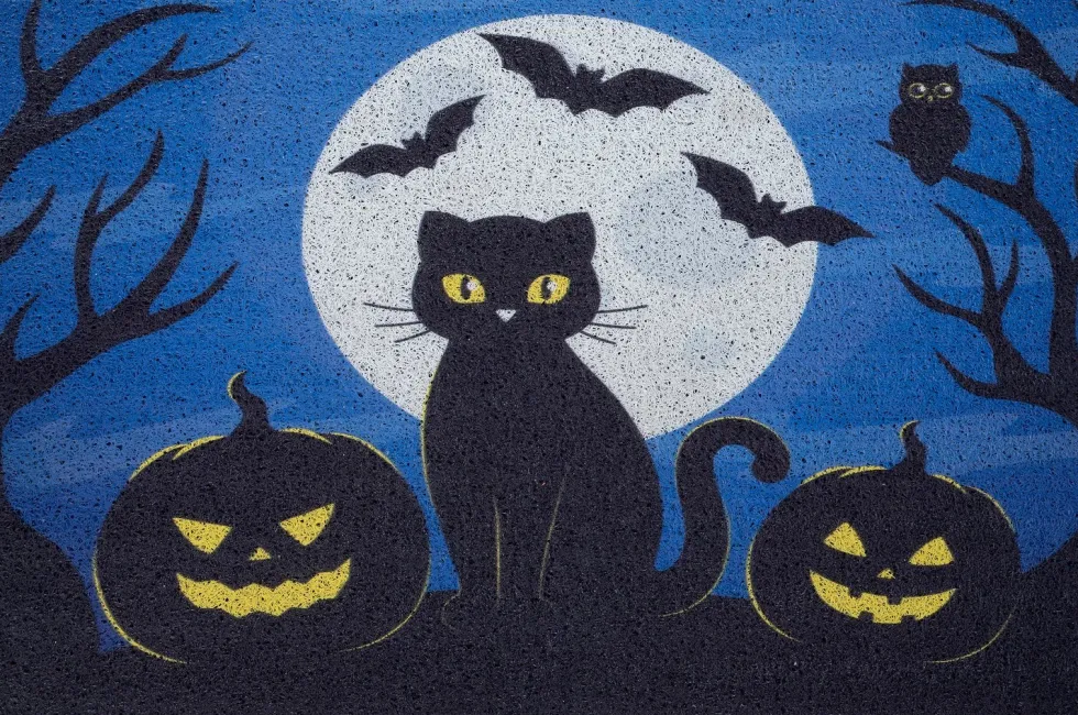 Intratuin rubber mat zwarte kat blauw 60 x 40 cm