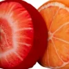 Intratuin sierkussen Fruit Slice oranje D 36 cm
