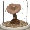 Intratuin stolp paddenstoel roze D 8,5 H 11 cm