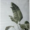 Intratuin wanddoek Heleconia grijs / groen 90 x 60 cm