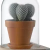 Intratuin wandstolp transparant D 21 H 29 cm