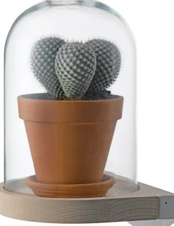 Intratuin wandstolp transparant D 21 H 29 cm