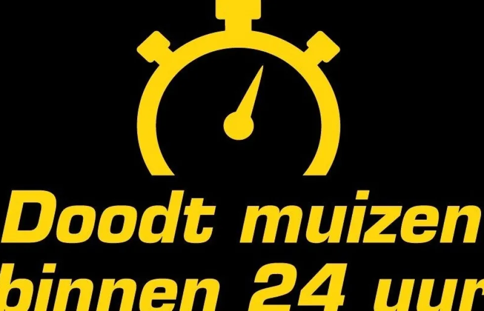 KB muizenval met pasta 2 stuks