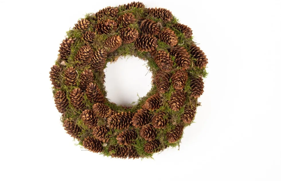 Krans mos met dennenappels Rema naturel D 40 H 5 cm