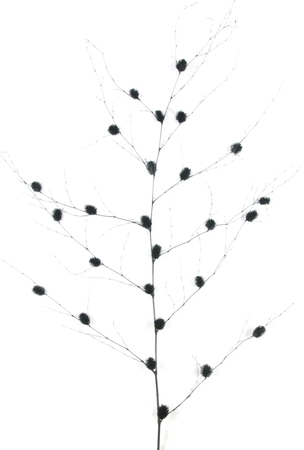 Kunstdecoratietak berk zwart 140 x 78 x 3 cm