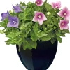 Mega Collections bloempot zwart D 22 H 21 cm