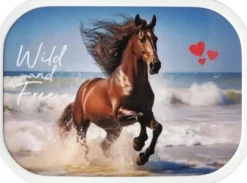 Mepal broodtrommel Campus Wild Horse 17,8 x 13,2 x 6,1 cm