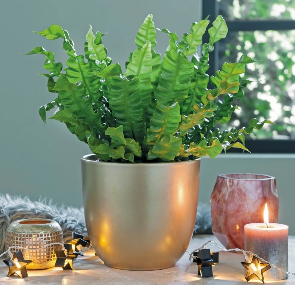Mica Decorations bloempot Tusca goud D 13,5 H 13 cm