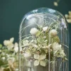 Mica Decorations decoratieschaal voor stolp Hella zwart D 26 H 2 cm