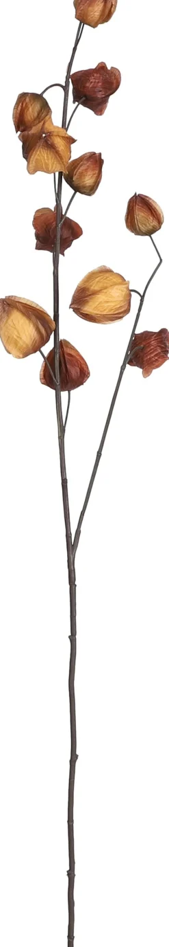 Mica Decorations kunstbloem Lampionplant bruin H 94 cm